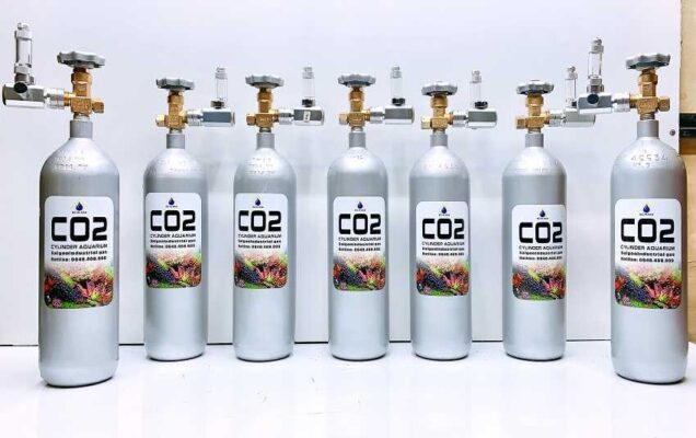 Bình C02 bảo quản bò khô