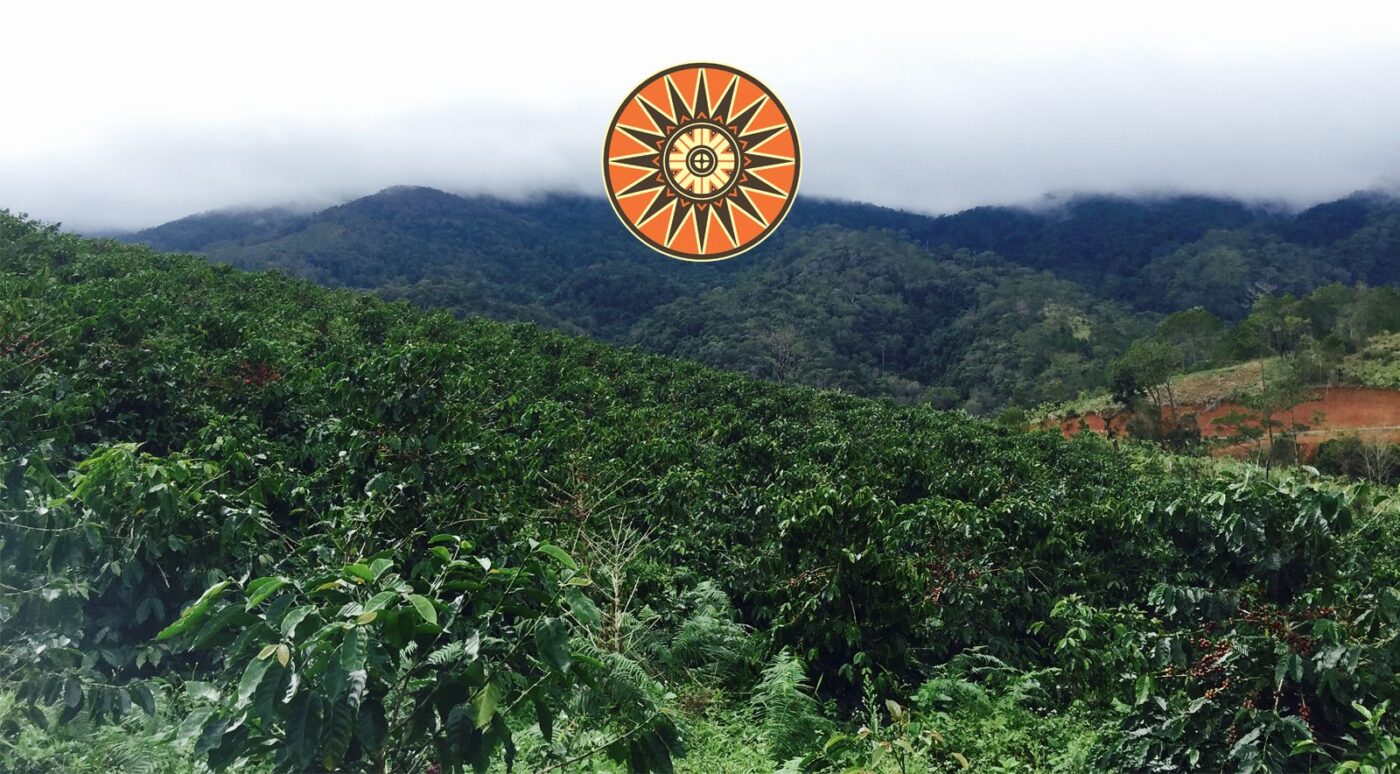 Kinh nghiệm đi Măng Đen từ Quảng Ngãi: Lịch trình, mẹo di chuyển và ăn gì cho đúng chất bản địa 1 Cà phê Măng Đen là món quà không thể thiếu mỗi khi đi du lịch Kon Tum