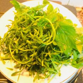 Bánh canh cá lóc A Kay 7 - Đặc sản Măng Đen 2 thum 16123182200