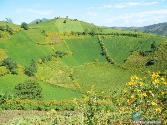 kinh nghiệm du lịch Gia Lai