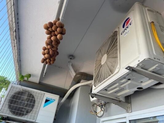 Cô bạn chia sẻ cách làm vải sấy khô bằng điều hòa, nghe xong ai nấy đều bái phục - Ảnh 1