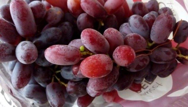 10 loại trái cây nhập khẩu được săn lùng nhiều nhất: Nho do khong hat Crimson Úc