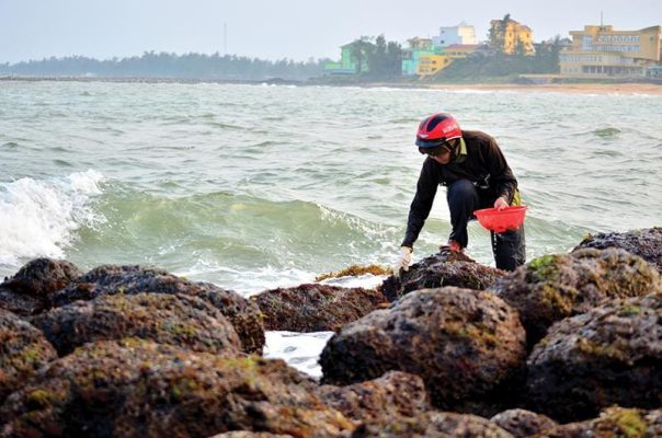 Top 10 đặc sản Quảng Trị ngon nhất không thể bỏ qua