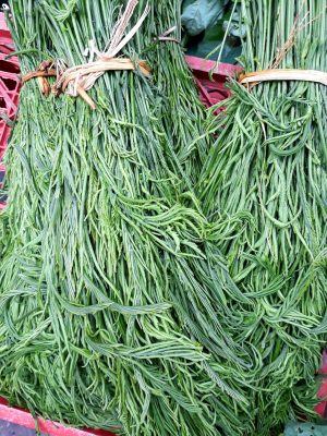 Ngon sạch lạ loại rau rừng chỉ có ở vùng núi cao được ví như "nhân sâm quý", có tiền cũng khó mua