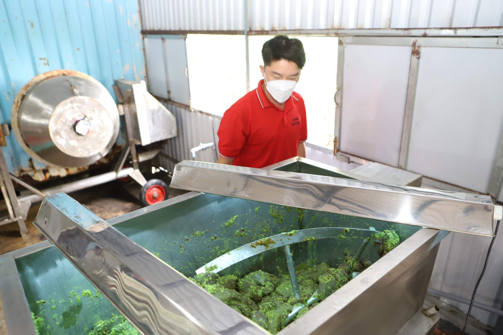 Tuyệt chiêu làm bò một nắng, muối kiến vàng ngày Tết ai cũng khen ngon 5 Z5145850246866 D6b6b